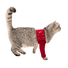 MPS Protective Front Leg Single Sleeve Cat Red 2XS