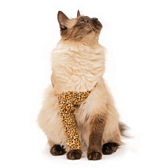 MPS Protective Front Leg Single Sleeve Cat Leopard Print 2XS