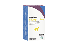 Bioclanic 500mg / 125mg 100 tabletten met smaakstof