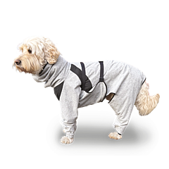 Maxani DermCoat Medium