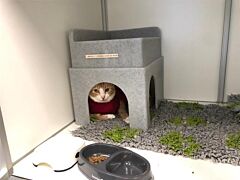 Cat Hides - hide & sleep (Een knusse schuil/slaapplaats)