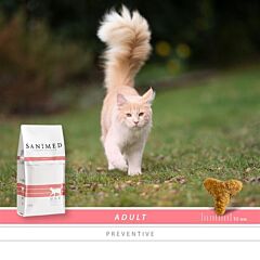 Sanimed Cat Adult Sample 10x 250 gram