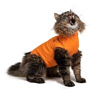 Medical Pet Shirt - S CAT ORANGE + DUTCH FLAG
