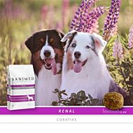 Sanimed Dog Renal sample 10 x 125 gram