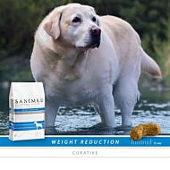 Sanimed Dog Weight Reduction sample 10 x 125 gram