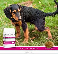 Sanimed Dog Anti-Struvite sample 10 x 125 gram