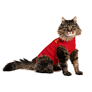 Medical Pet Shirt CAT - 5XS, Rood