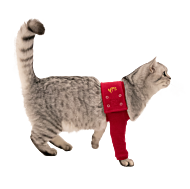 MPS Protective Front Leg Single Sleeve Cat Red XS