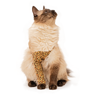 MPS Protective Front Leg Single Sleeve Cat Leopard Print S