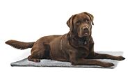 Kruuse Vet Bed 100 x 75cm Anti-slip Grijs Dichtheid:1300g/m2