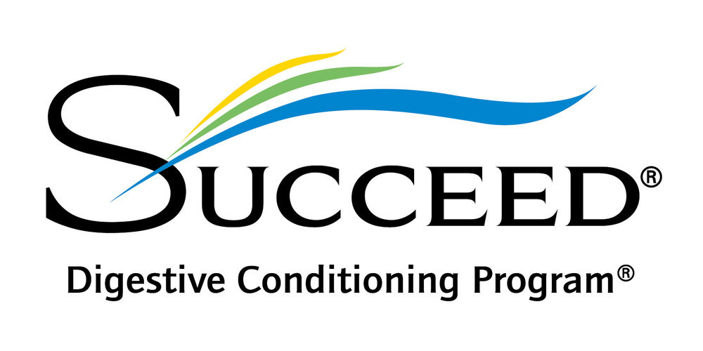 Succeed